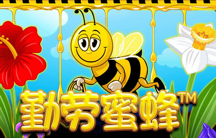 投射橄榄球
